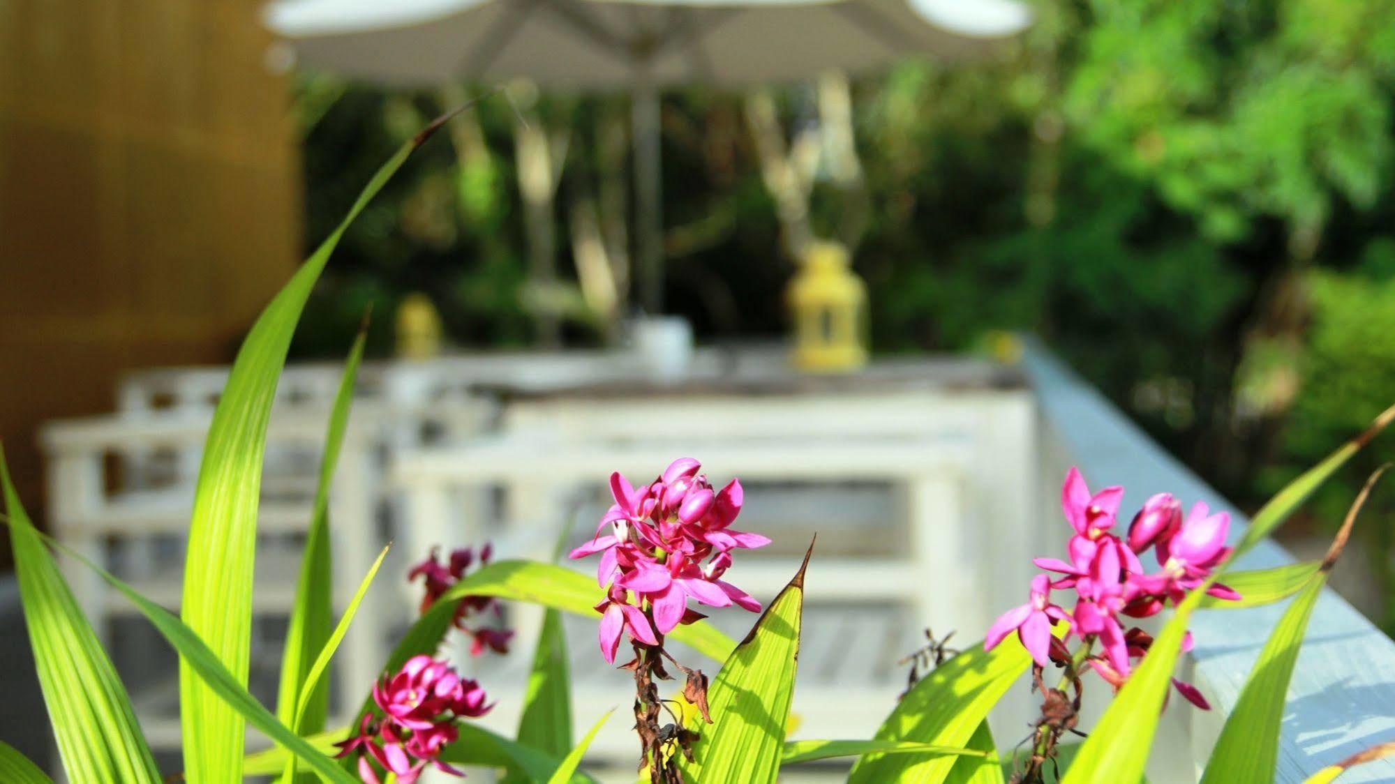 Emis Hotel Phú Quốc-sziget Kültér fotó